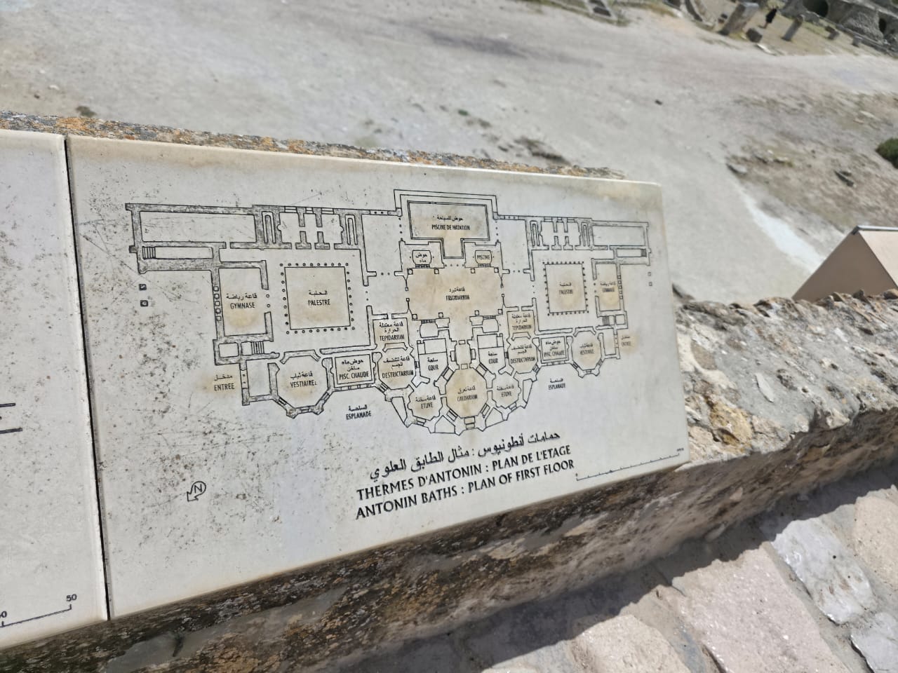 the ancient Roman ruins of Carthage