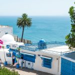 Tunis-Carthage, Sidi Bou Said & Bardo One Day Tour